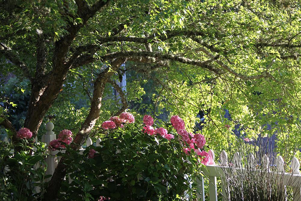 Inn At Occidental Eksteriør bilde